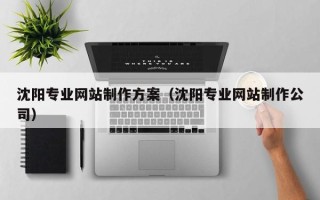 和田沈阳专业网站制作方案（沈阳专业网站制作公司）